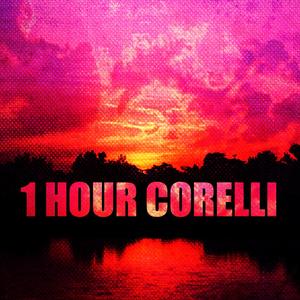 Concerto Grosso No. 1 in D Major, Op. 6: I. Largo