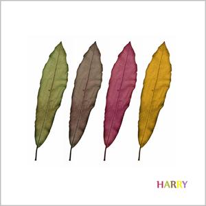 숨은 그림 찾기