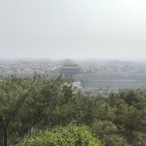 《还好你比我决绝，我们都自由了》