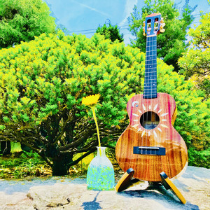 雨のちひまわり