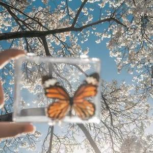 我的无力成为我的败笔  (口水旋律DJ)