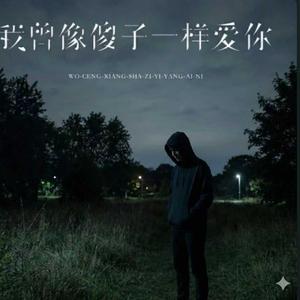 我曾像傻子一样爱你（抖音热播版）