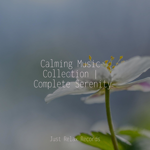 Mystic Garden's Song