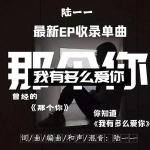 我有多么爱你Demo