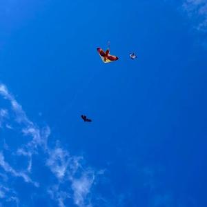 你不知道的事 (gospel版)