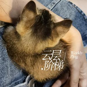 我的果汁分你一半