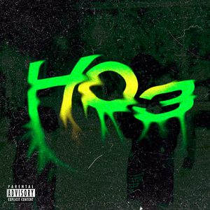 HO3