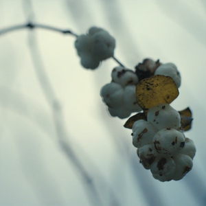 我用什么把你留住