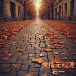 你忘了你的承诺