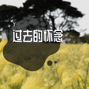 过去的怀念