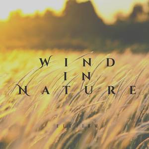 Wind in Nature