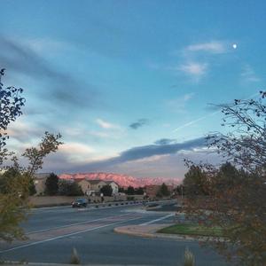 ssssssssssssssssssssss high