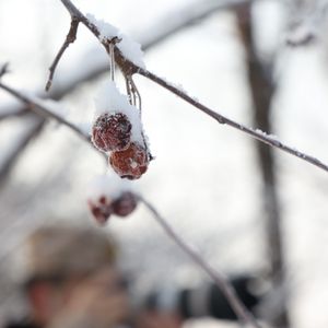 飞雪玉花（D调竹笛）