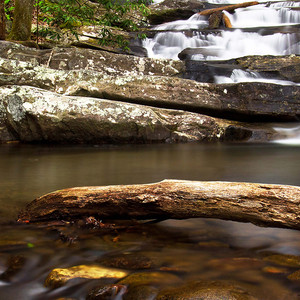 看了爸爸当家不想长大
