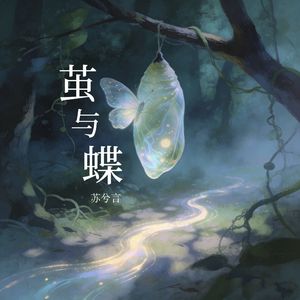 茧与蝶