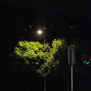 晚风寄情黎明.mp3