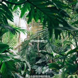 适合旅馆抒情的音乐