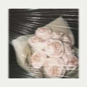 A1 TRIP-折纸玫瑰（heel flip remix）