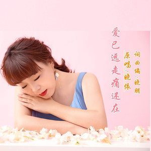 爱已远走痛还在DJ (女版)