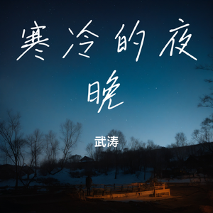 寒冷的夜晚
