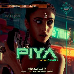 Piya DnB (feat. Alam Khan, Shrii & Sheela Bringi) (Drum and Bass Remix)
