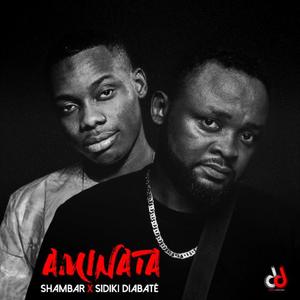 Aminata (feat. Sidiki Diabaté)