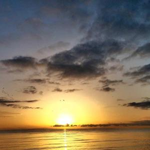 可有可无的东西一律可无