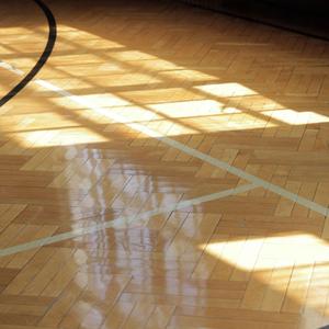 Run to the Sun (feat. Brandon Lott)