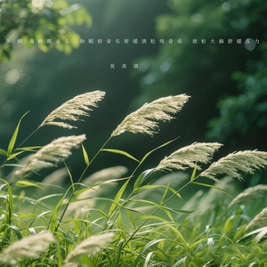 中医养肝曲 抚平焦躁 舒缓情绪