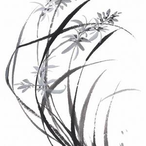 兰君(愿君记侬)(翻自 清弄/流浪的蛙蛙)