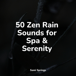 Forest, Birds, River in the Distant