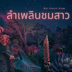 ลำเพลินชมสาว