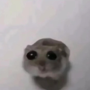 Elizabeth Taylor (slowed)