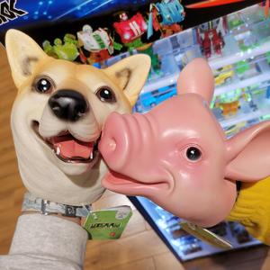 “宝贝你在干嘛？”