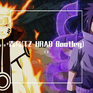 青鸟(TZ HARD Bootleg)