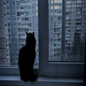 glo*glofromda4*maajins*rexv2 type beat