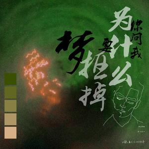 你问我为什么要抠掉梦