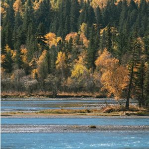 中国风 燃烧激情火焰