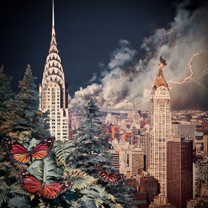 Fire Wakes Within the Shadows