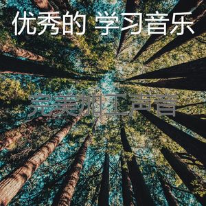 抚慰的正在学习回忆
