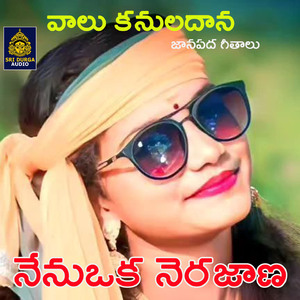 Nenoka Nerajana (Valu Kanuladana)