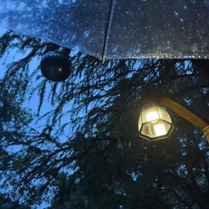 阳光派对里的愉悦律动