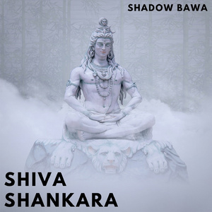 Shiva Shankara