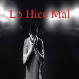 Lo Hice Mal