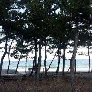 잊으려해도(Even if I try to forget it)