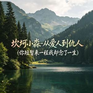 从爱人到仇人(你短暂来一程我却念了一生)