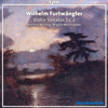 Mathias Wollong - Violin Sonata No. 2:III. Presto