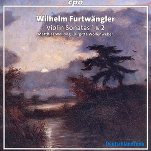 Violin Sonata No. 1 in D Minor:I. Allegro moderato