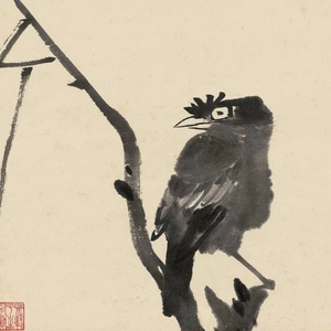 蓑衣