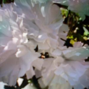 Sin Tu Amor (feat. German Barbero)